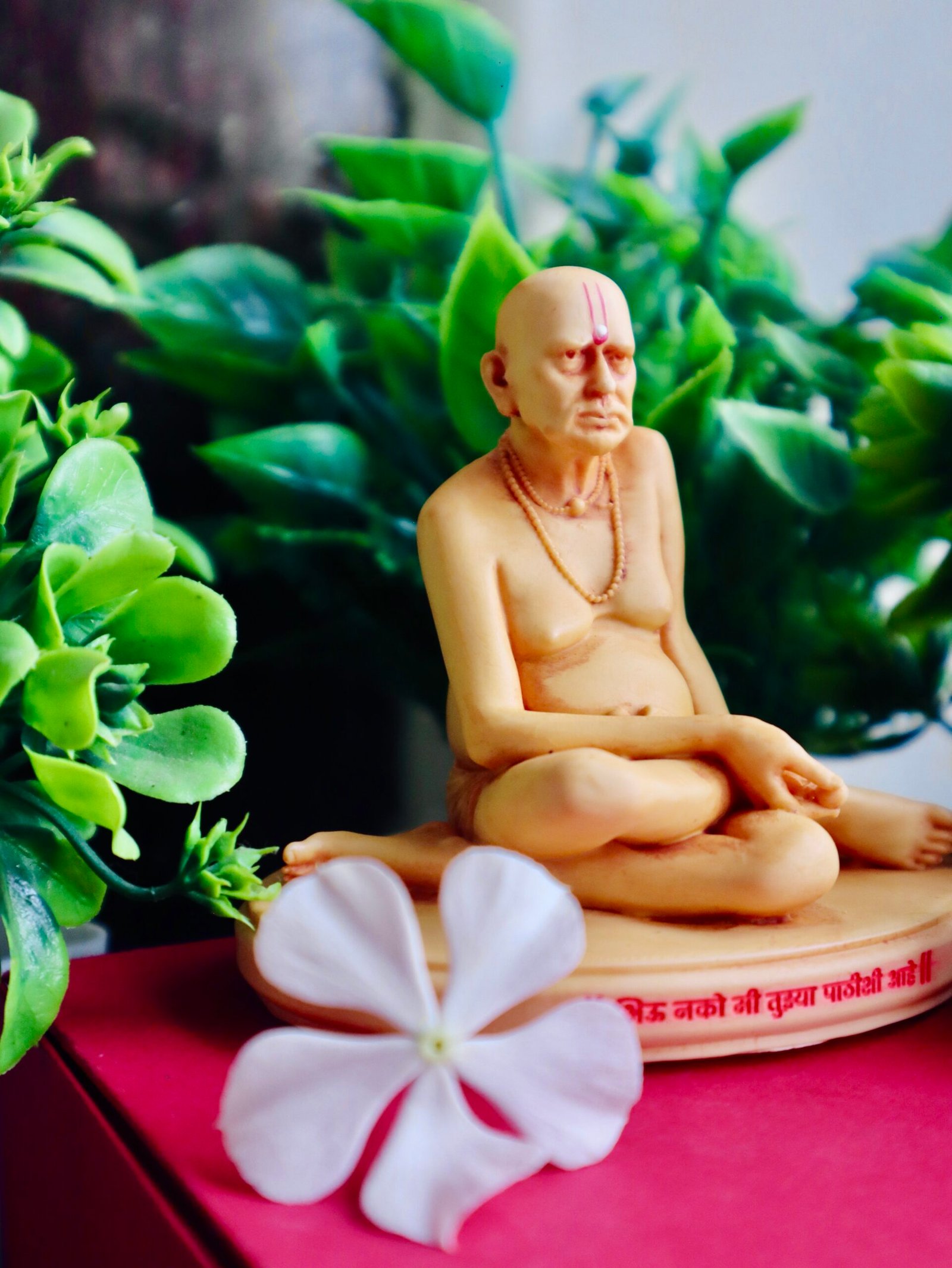 Swami Samarth 4 inch - Image 2